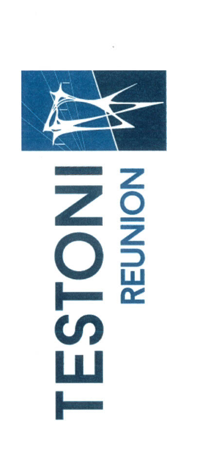 Logo Testoni